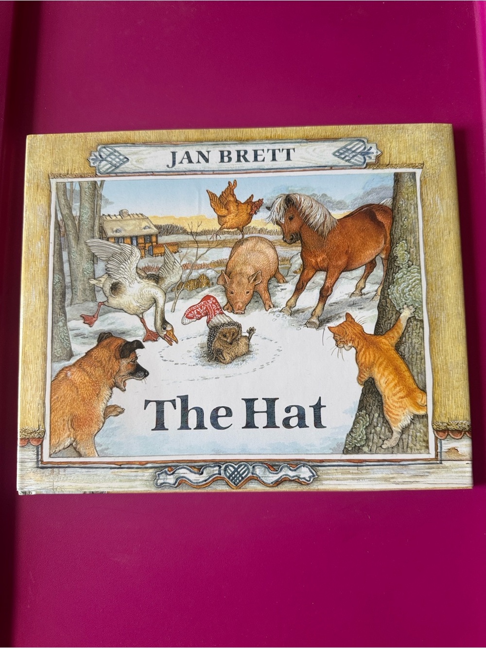 'The Hat' - Pink Cover Children's Picture Book by Jan Brett